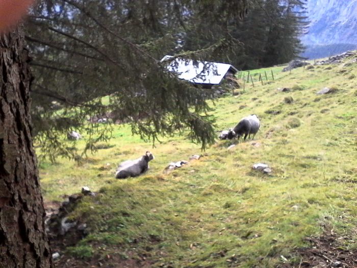 IMG_20201013_170657.jpg