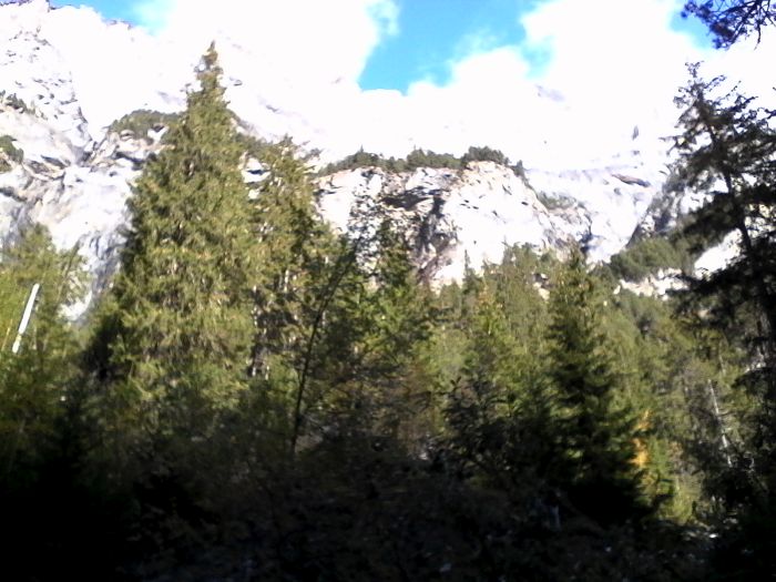 IMG_20201017_131923.jpg