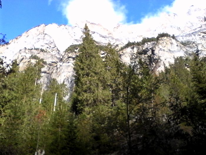 IMG_20201017_132140.jpg