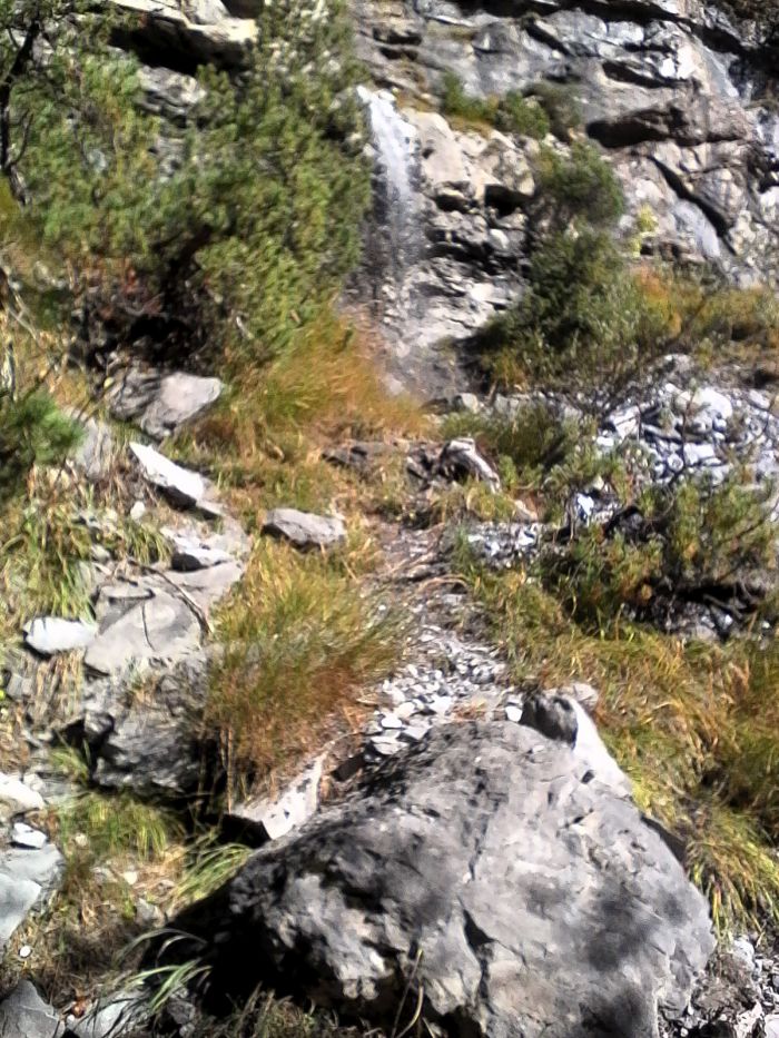 IMG_20201017_132616.jpg