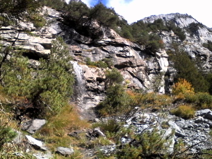 IMG_20201017_132627.jpg