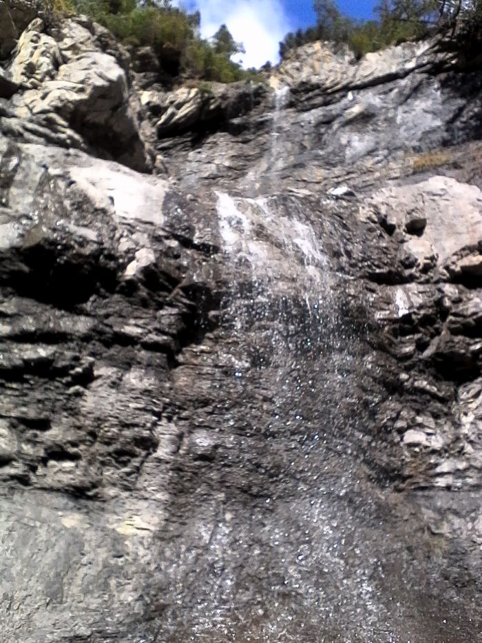 IMG_20201017_132857.jpg