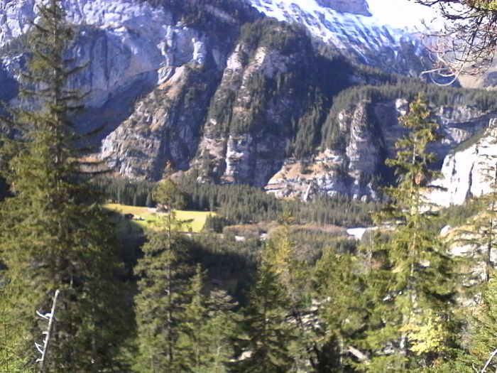 IMG_20201017_133808.jpg
