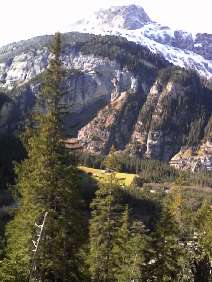 IMG_20201017_133819.jpg