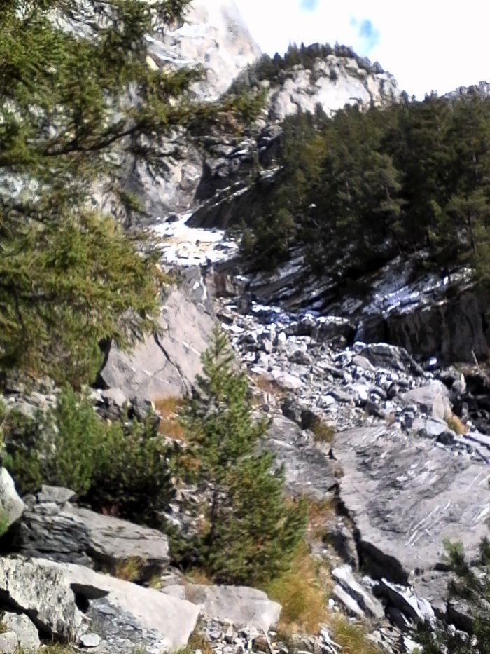 IMG_20201017_133856.jpg