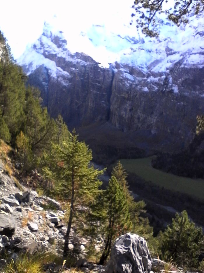 IMG_20201017_133923.jpg