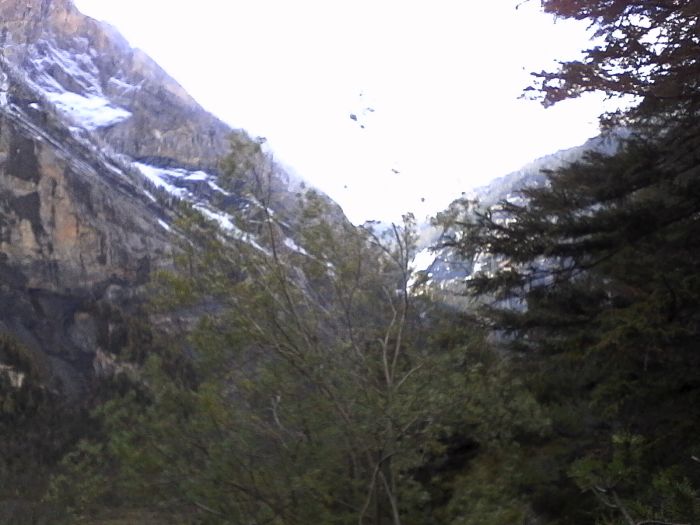 IMG_20201017_144218.jpg