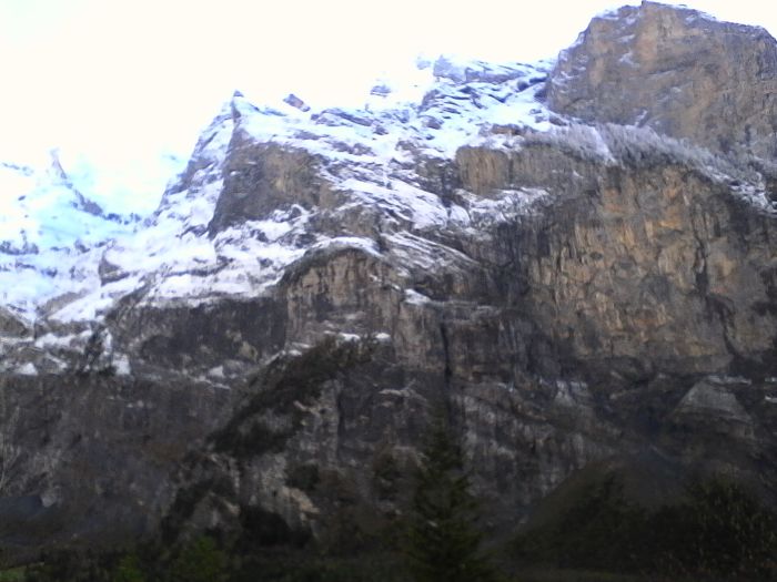 IMG_20201017_144239.jpg
