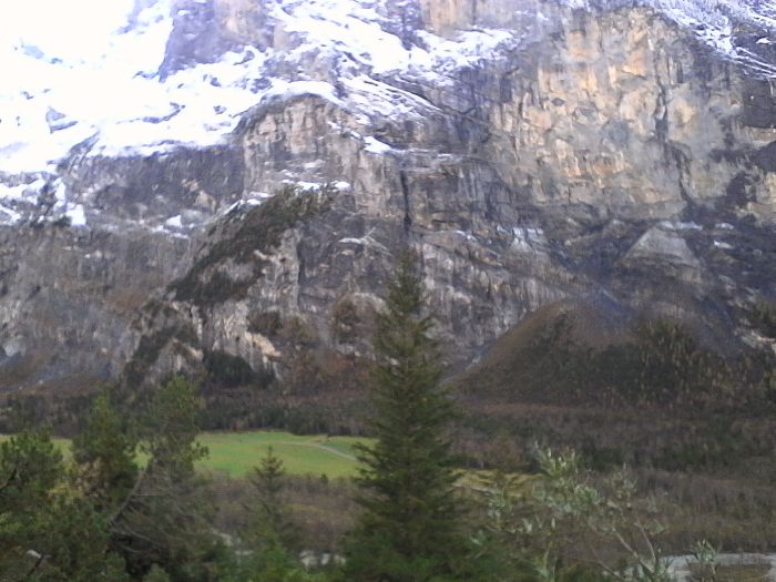 IMG_20201017_144340.jpg