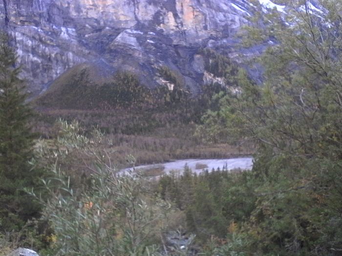 IMG_20201017_144357.jpg