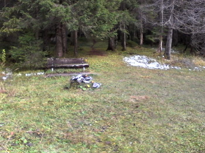 IMG_20201017_144859.jpg