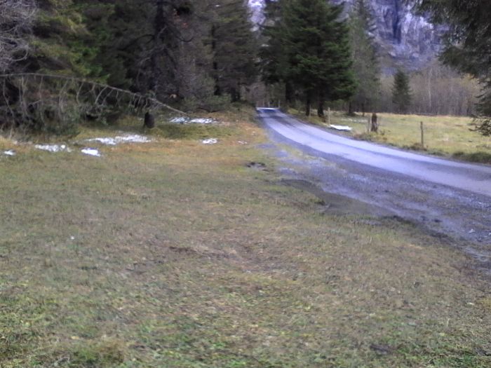 IMG_20201017_144907.jpg