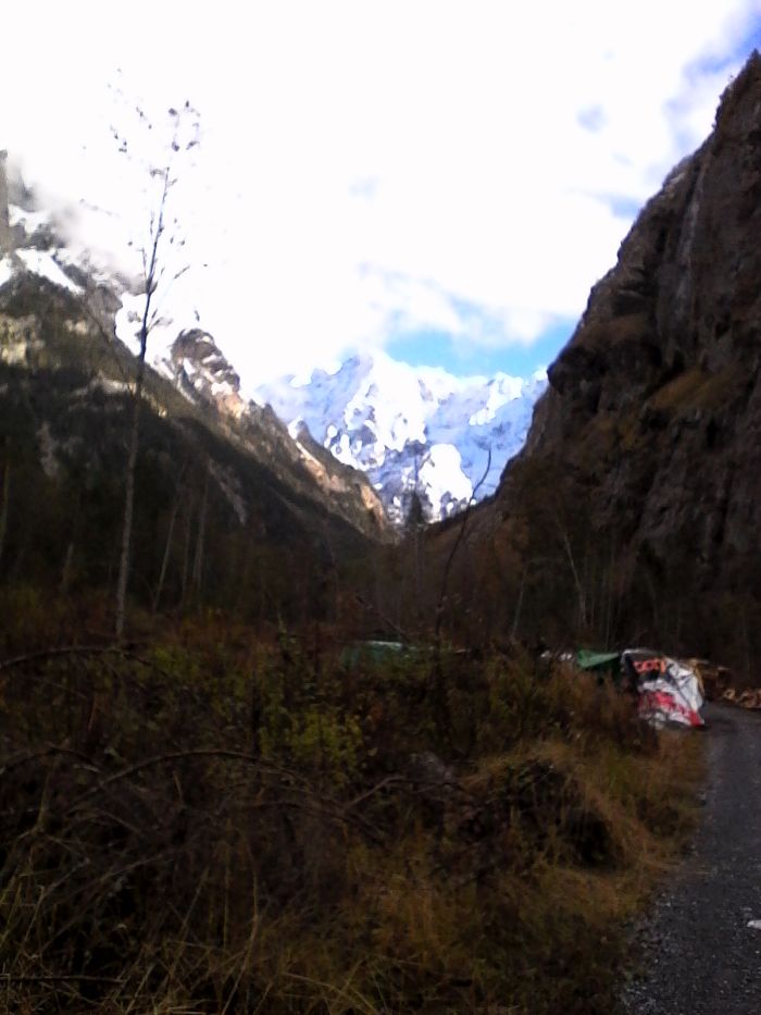 IMG_20201017_151205.jpg