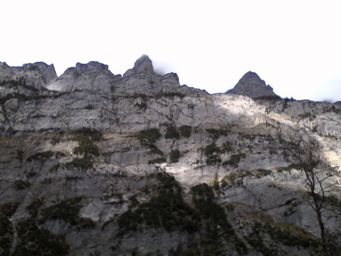 IMG_20201017_151219.jpg
