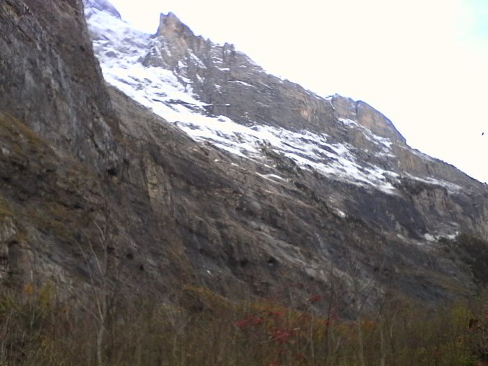 IMG_20201017_151242.jpg