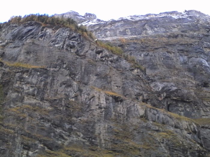 IMG_20201017_151251.jpg