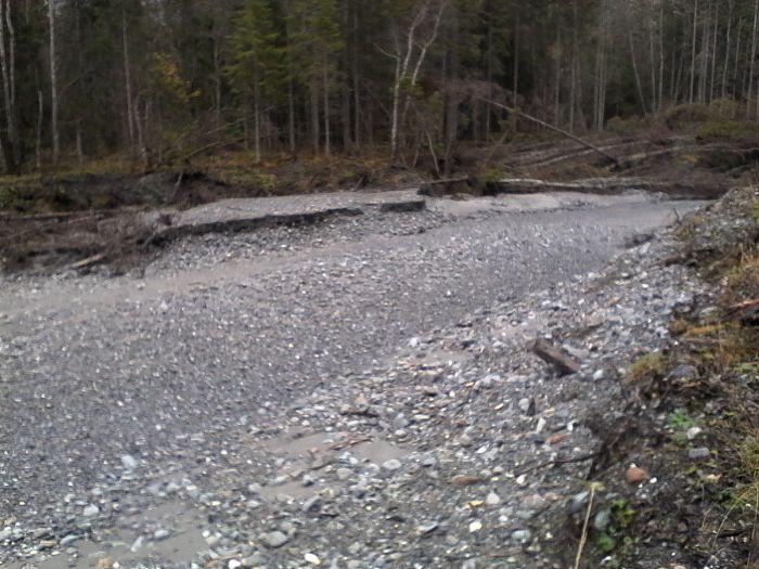 IMG_20201017_151650.jpg