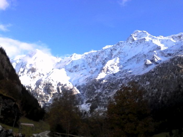 IMG_20201017_155105.jpg