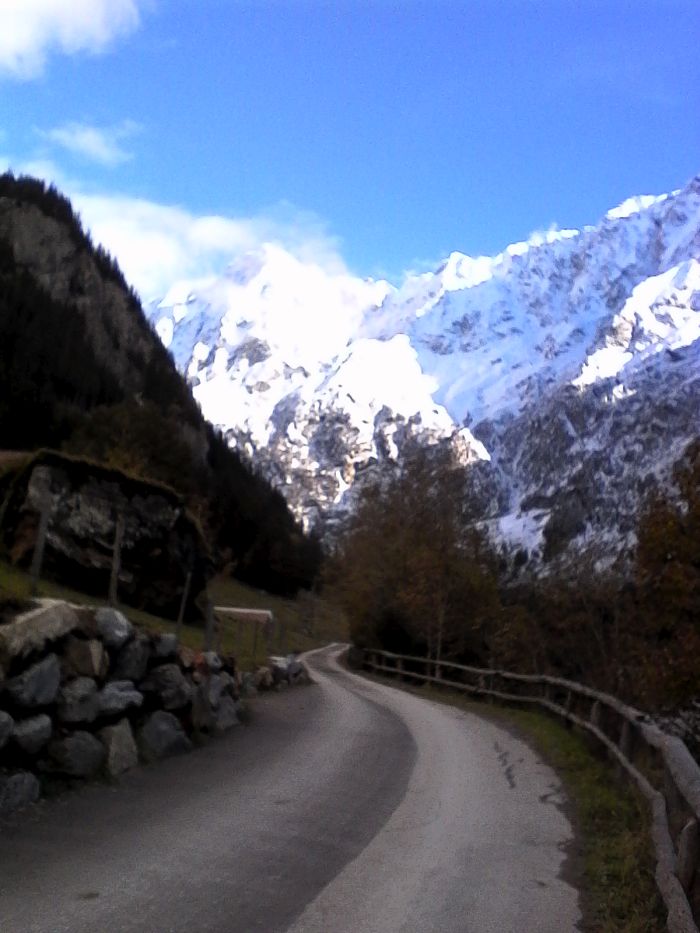 IMG_20201017_155127.jpg