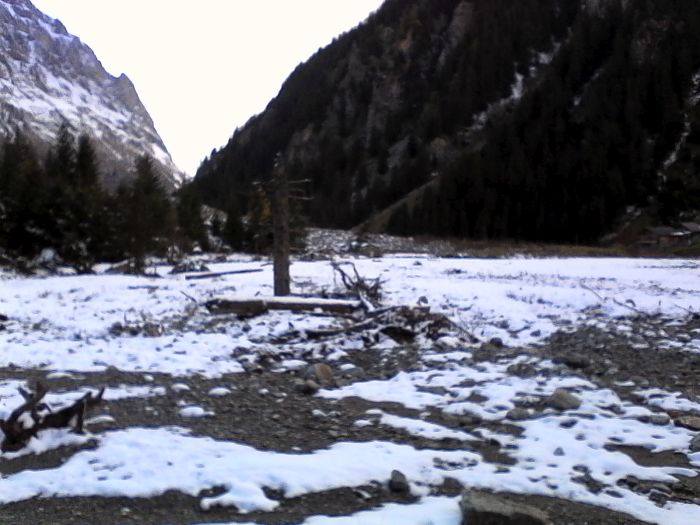 IMG_20201017_161647.jpg