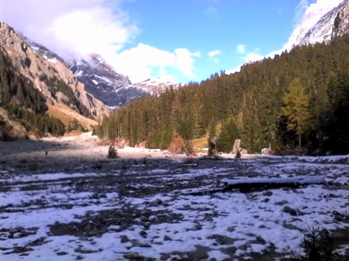 IMG_20201017_161740.jpg