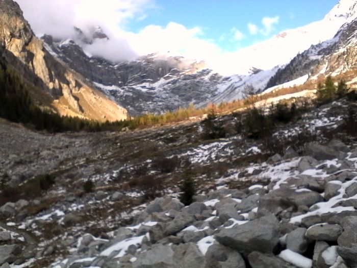 IMG_20201017_162841.jpg