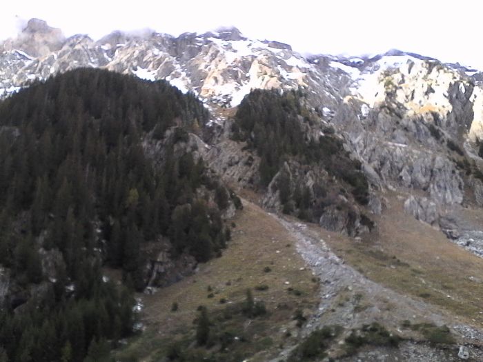 IMG_20201017_162914.jpg
