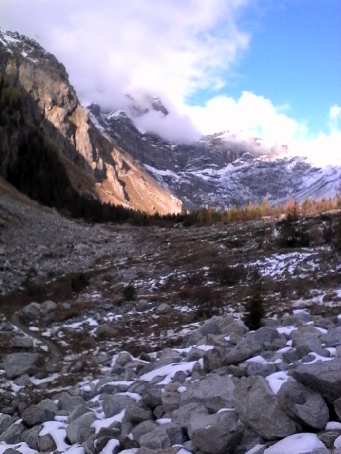 IMG_20201017_162927.jpg