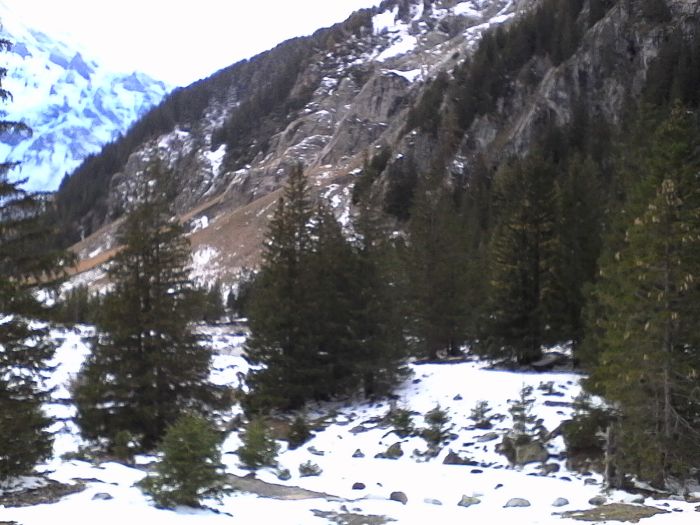 IMG_20201017_164611.jpg