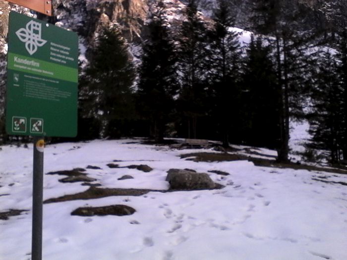 IMG_20201017_164647.jpg