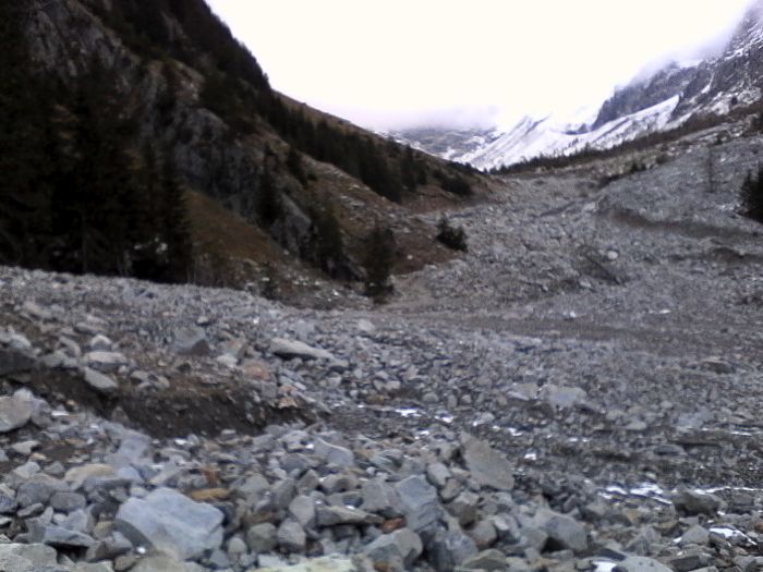IMG_20201017_172343.jpg