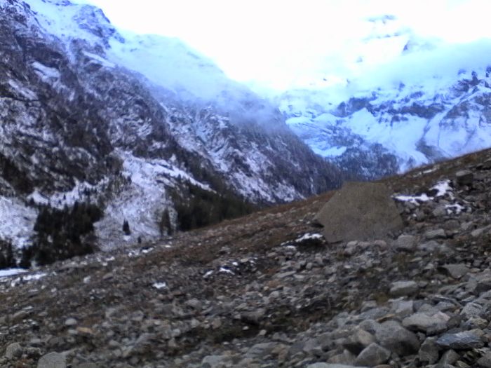 IMG_20201017_172424.jpg