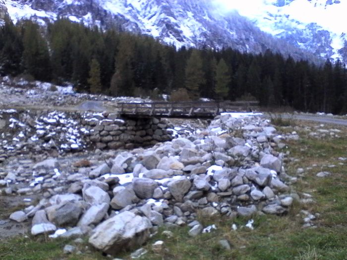 IMG_20201017_173502.jpg