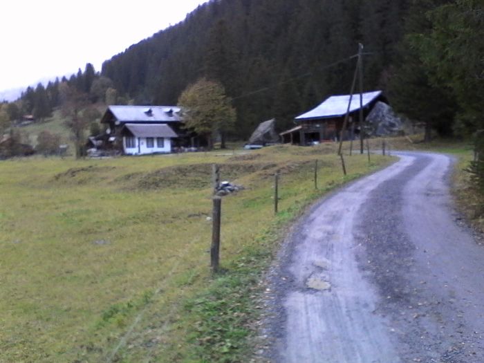 IMG_20201017_175308.jpg