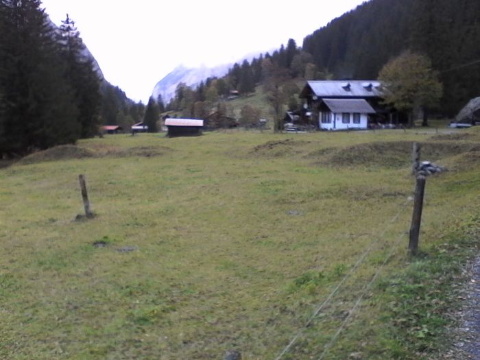 IMG_20201017_175314.jpg