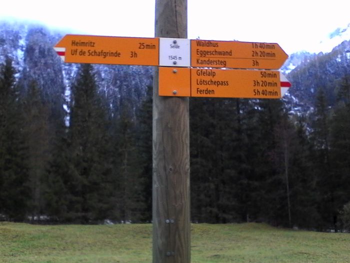 IMG_20201017_175507.jpg