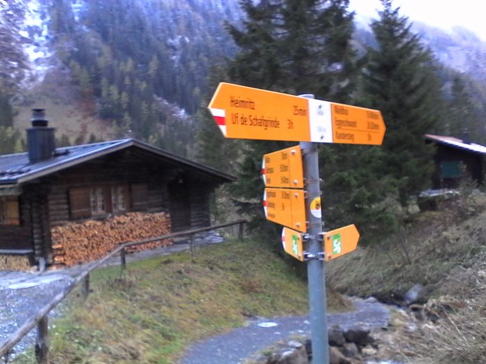 IMG_20201017_175756.jpg
