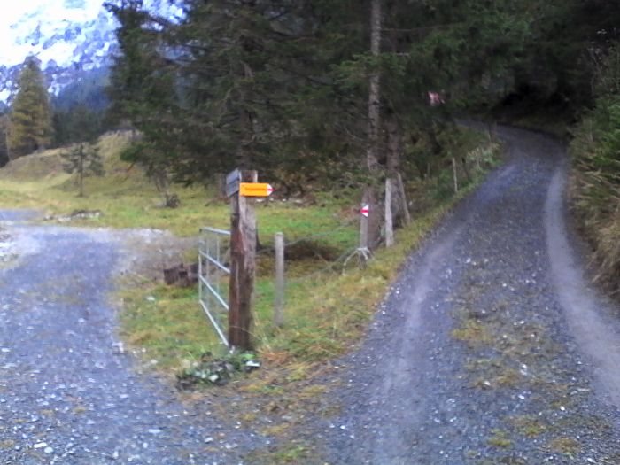 IMG_20201017_180522.jpg