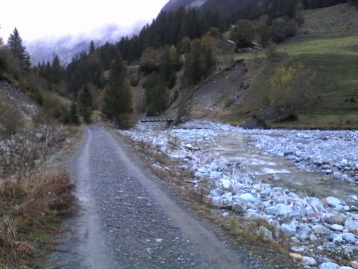IMG_20201017_180535.jpg