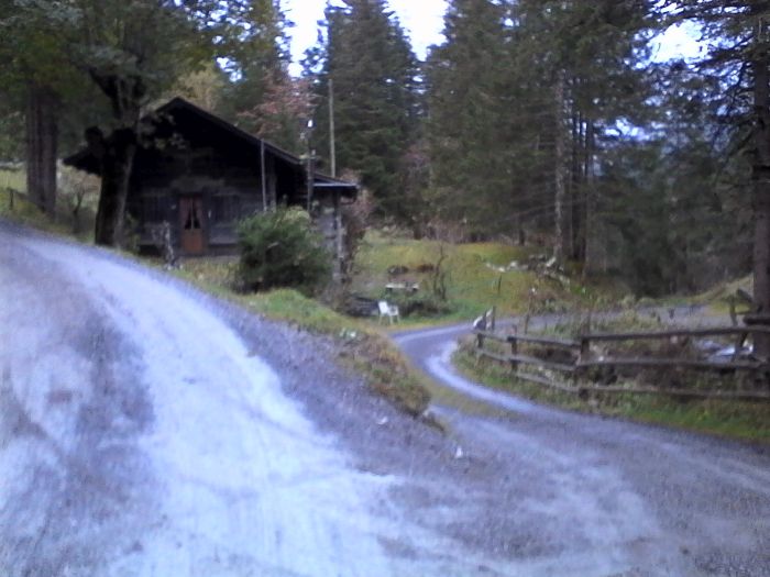 IMG_20201017_181205.jpg
