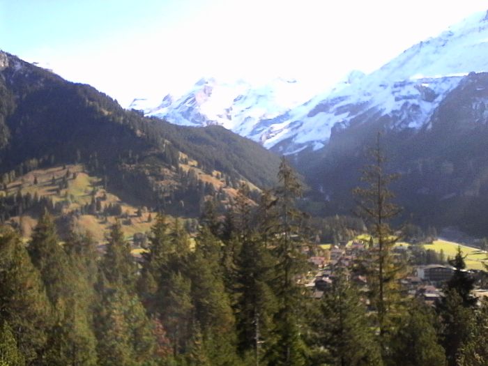 IMG_20201019_115146.jpg