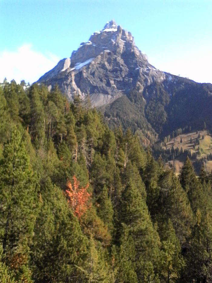 IMG_20201019_115155.jpg