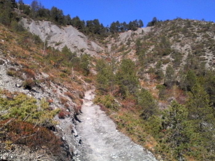 IMG_20201019_115203.jpg