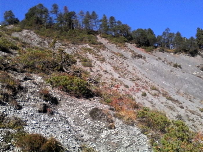 IMG_20201019_115629.jpg