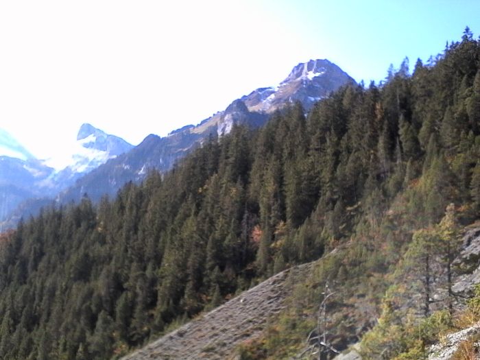 IMG_20201019_115813.jpg