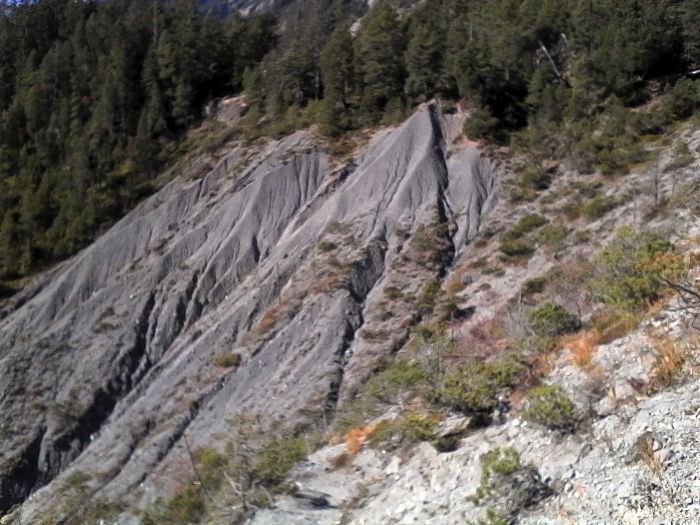 IMG_20201019_115958.jpg