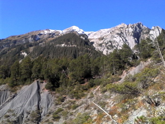 IMG_20201019_120004.jpg