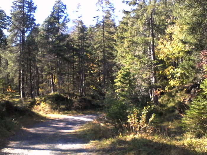 IMG_20201019_120533.jpg