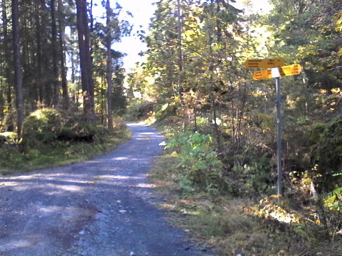 IMG_20201019_120747.jpg