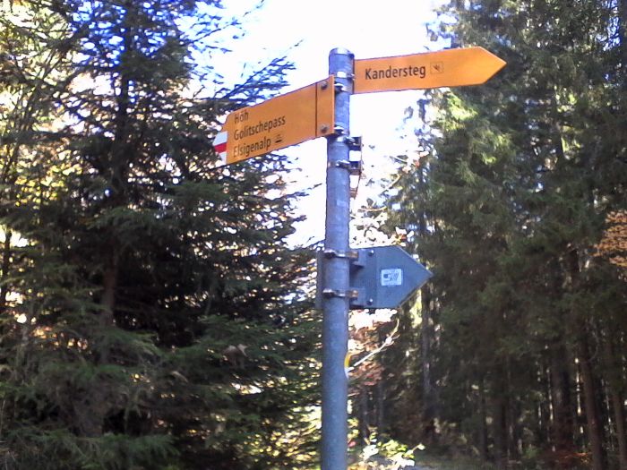 IMG_20201019_120855.jpg